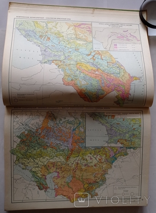 Atlas of Areas and Resources of Medicinal Plants of the USSR. 39 x 28.5 cm. 340 cm. 1976, photo number 8