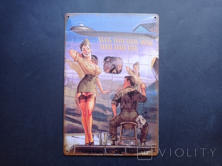The collectible plaque is a poster of Pin Up in vintage style., photo number 3