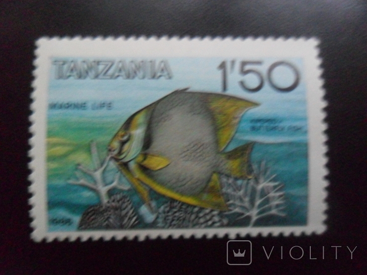 Фауна моря. Танзанія. Рибка