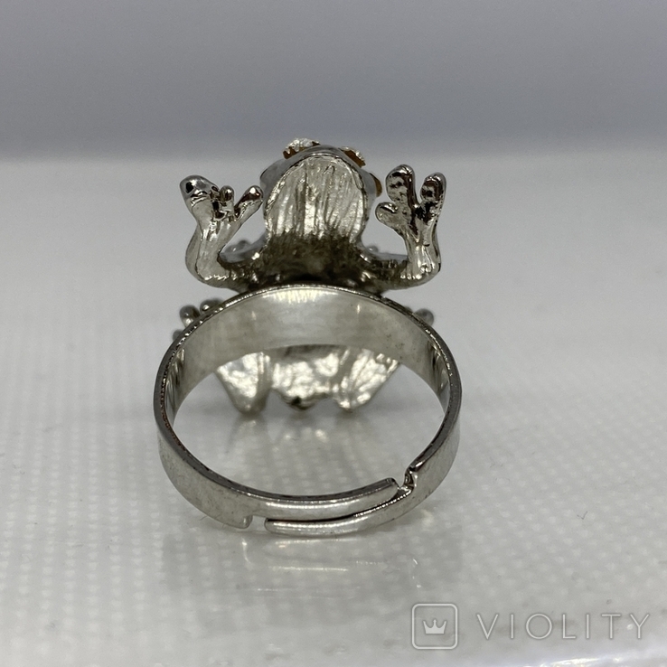 Toad Ring, photo number 5