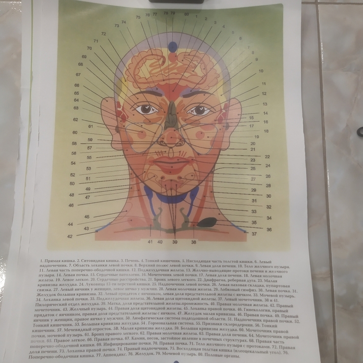Плакат Биологически активные точки с обозначениями на лице человека 45х32 см, фото №3