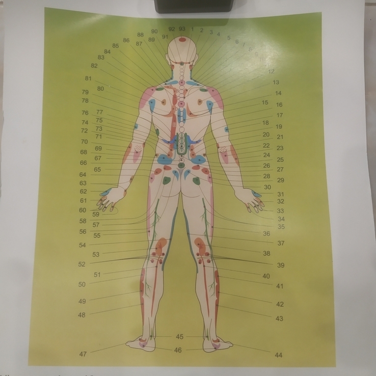 Плакат Биологически активные точки с обозначениями на теле человека сзади 45х32 см, фото №4