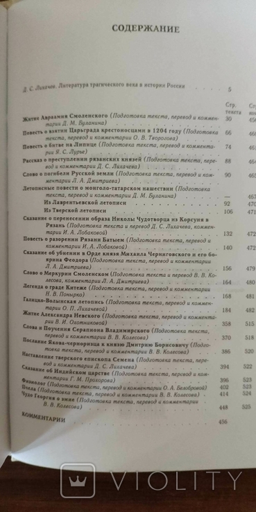 Библиотека литературы Древней Руси. Том 5 (XIII век), фото №8