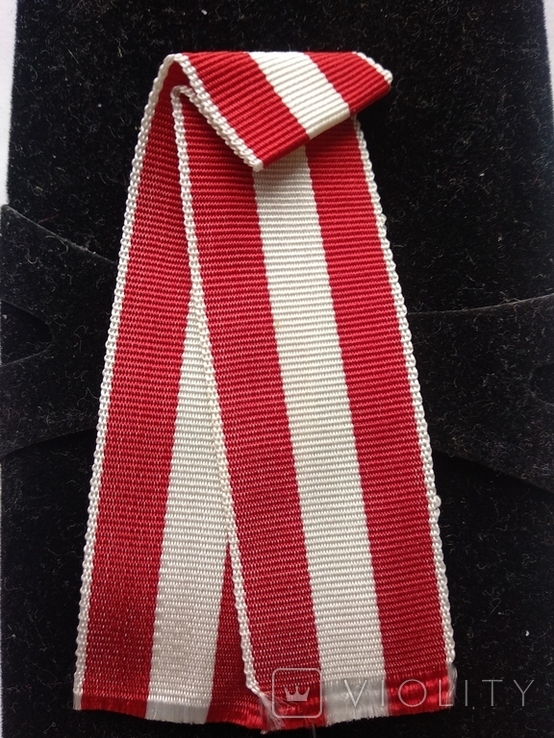 Ribbon for the Order of the Red Banner., photo number 3