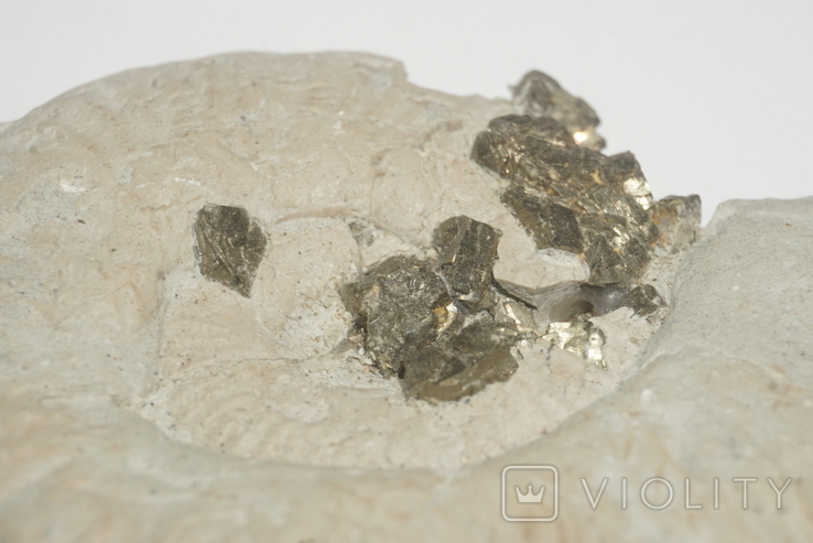 Амоніт з кристалами піриту юрського періоду, Італія, фото №10