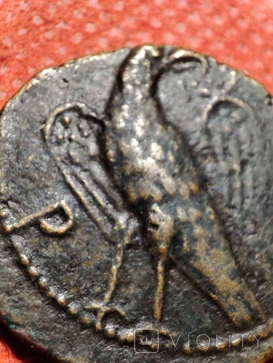 Боспорское царство. Савромат 2..Император-Орел.182-192 г.г.н.э., numer zdjęcia 9