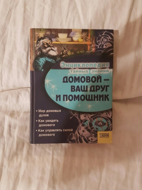 Домовой ваш друг и помощник 2006 год, numer zdjęcia 2