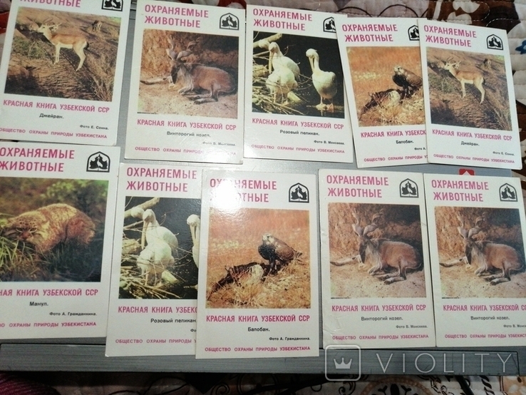 Calendar of the USSR - animals 10pcs(1), photo number 2