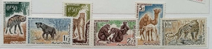 Mauritania, 1963, fauna