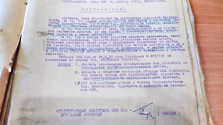  Личное дело на бригадного комиссара Левушкина И.К. репрессирован в 1937 году, photo number 7