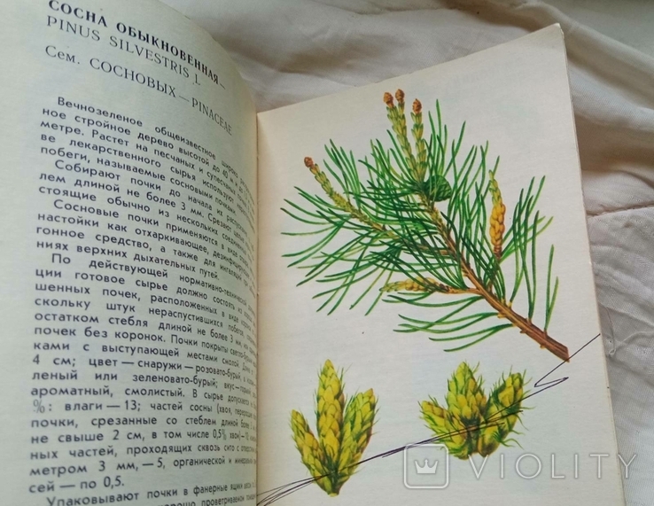 Дві книги лікарські рослини СРСР..., фото №7