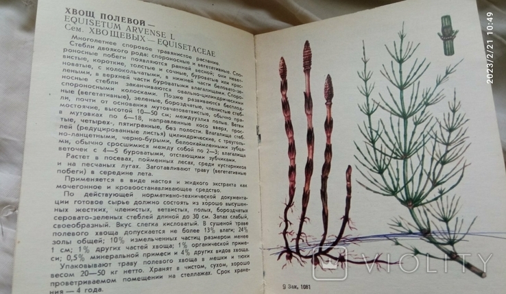 Дві книги лікарські рослини СРСР..., фото №2