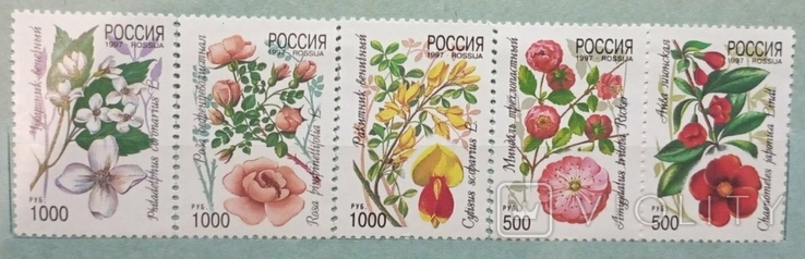 Росія, 1997. Флори. Квіти.