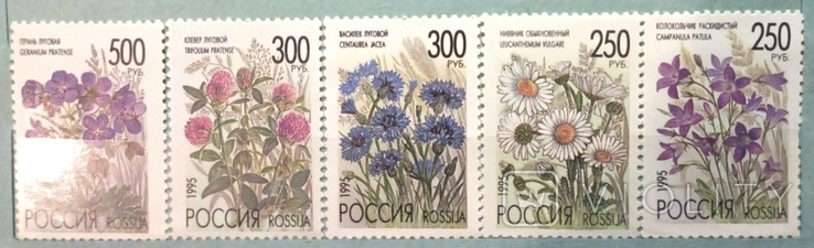 Russia 1995 Wildflowers