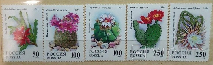 Russia 1994 Cacti