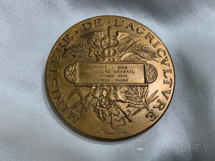 Медаль Міністерства сільського господарства 1886 Франція, фото №3