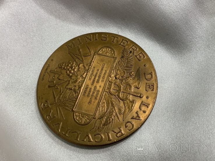 Медаль Міністерства сільського господарства 1886 Франція, фото №6