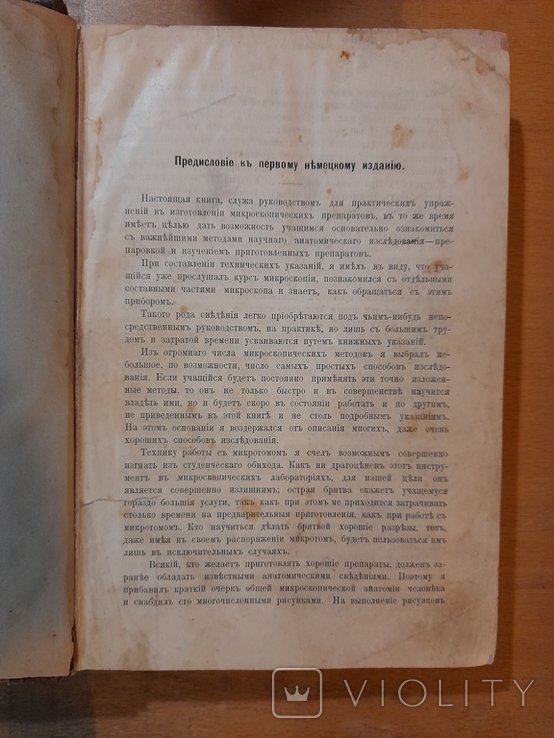 Гистология, Штерь. Дореволюционная книга, фото №3