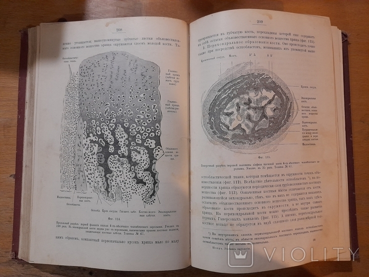 Гистология, Штерь. Дореволюционная книга, фото №6