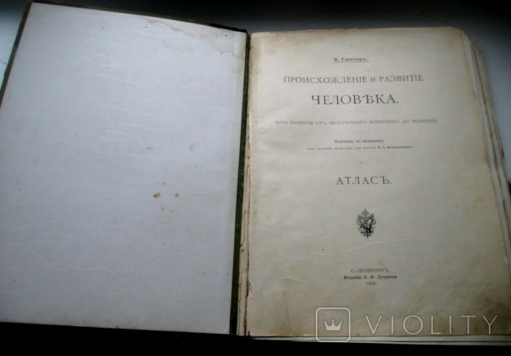 К.Гюнтер."Происхождение и развитие человека"-1909 год.