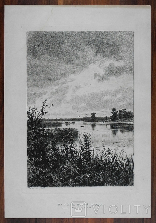 И. И. Шишкин, офорт. На реке, после дождя 1887г. гравюра., фото №3