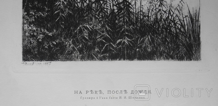 И. И. Шишкин, офорт. На реке, после дождя 1887г. гравюра., фото №5
