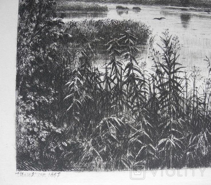И. И. Шишкин, офорт. На реке, после дождя 1887г. гравюра., фото №7