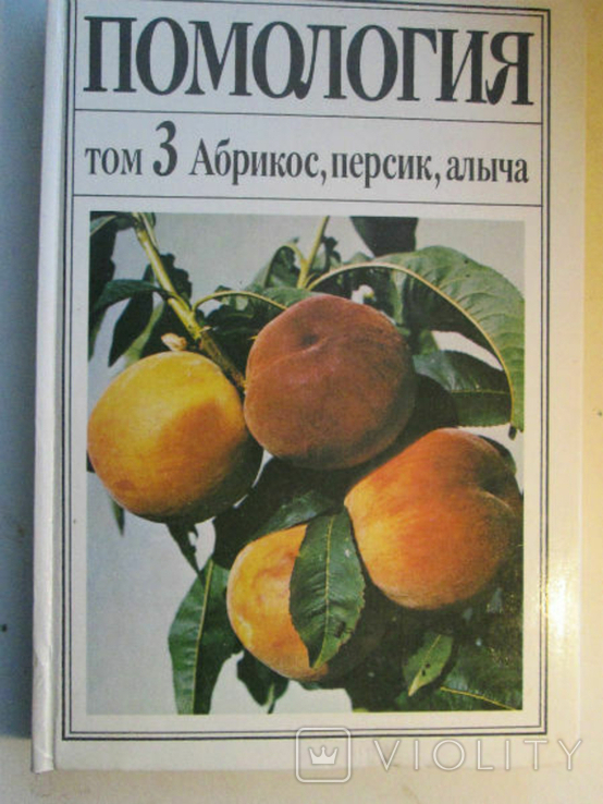 Apricot, peach, cherry plum. Pomology in 5 volumes. Volume 3., photo number 2