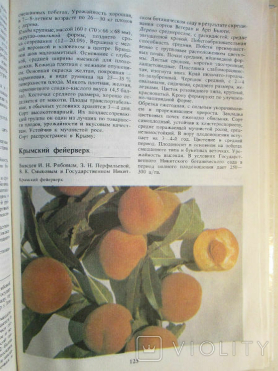 Apricot, peach, cherry plum. Pomology in 5 volumes. Volume 3., photo number 7