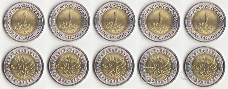 Egypt Egypt - 5 pcs x 1 Pound 2023 Police Day, photo number 2