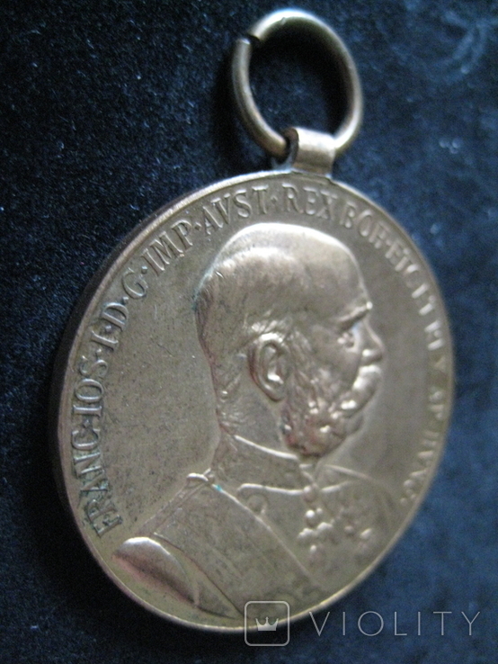 Медаль SIGNUM MEMORIA, Австро-Венгерская Империя - 1898 год + БОНУС (подарочная коробка)., фото №10