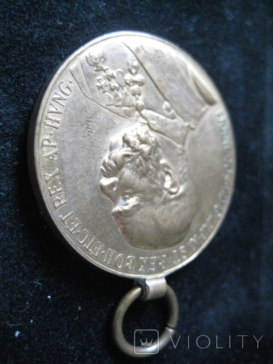 Медаль SIGNUM MEMORIA, Австро-Венгерская Империя - 1898 год + БОНУС (подарочная коробка)., фото №11