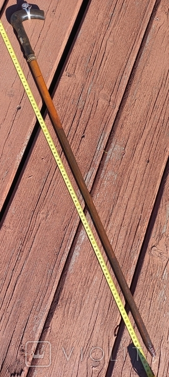 Cane with built-in blade, 89 cm, blade 33.5 cm, photo number 2