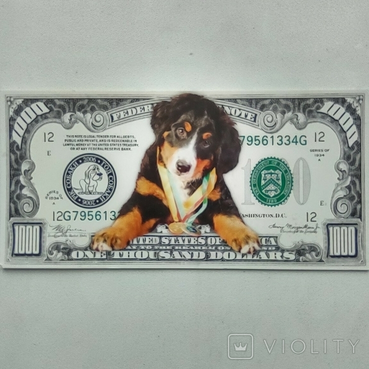 Calendar, souvenir, dollar, dog, for 2006., photo number 2