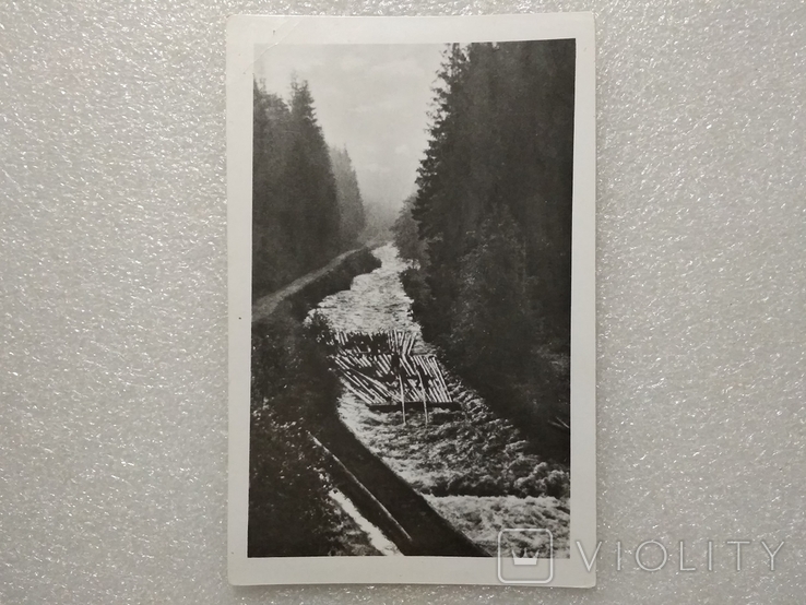 Transcarpathia.Rafting forest on the river Tissa in Rakhiv district.Photo Bado.T.9thousand.1957, photo number 2