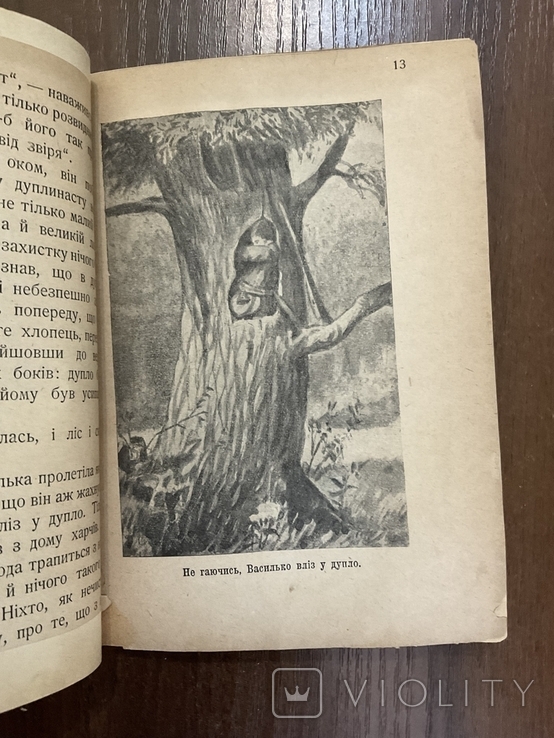 1919 Запорожский клад В. Корнієнко Худ. І. Стеценко Відень Катеринослав Дніпро, фото №9