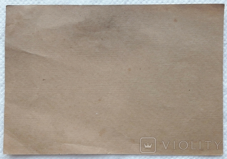 USSR postcard Field mail A V Suvorov blank form, photo number 3