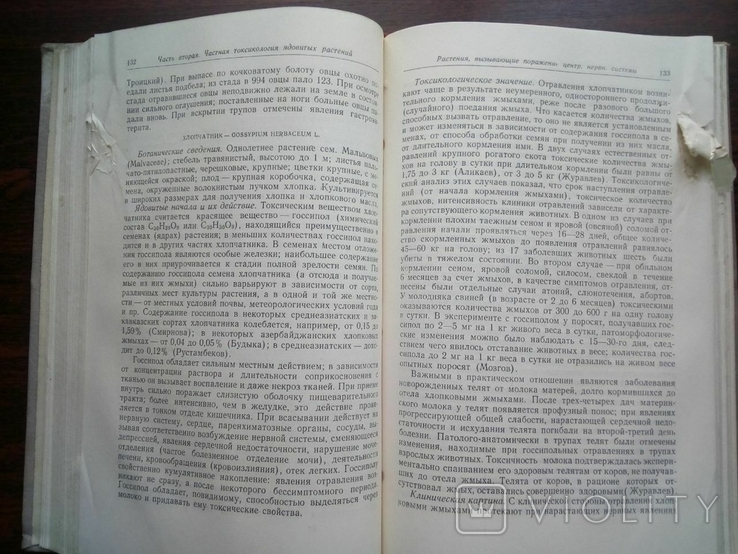 1951г.Токсикология ядовитых растений. И.А. Гусынин, photo number 8