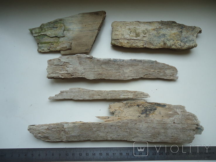 Fragments of mammoth tusk., photo number 2