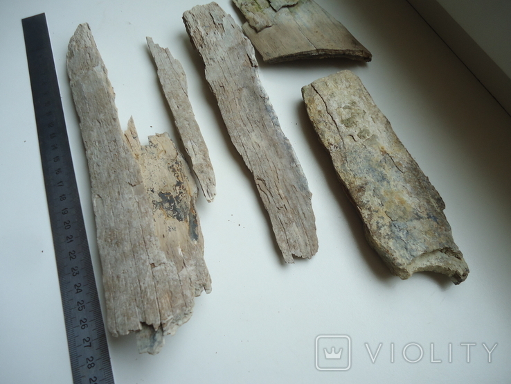 Fragments of mammoth tusk., photo number 4