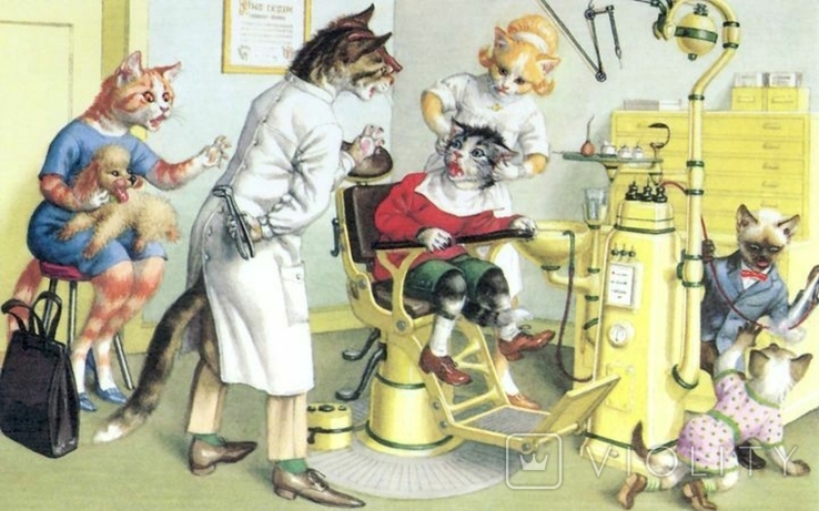 Cats at the dentist.