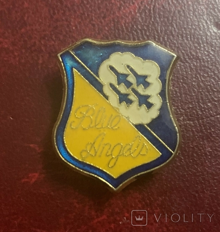 Badge of the elite air squadron of the US Army "Blue Angels", photo number 2