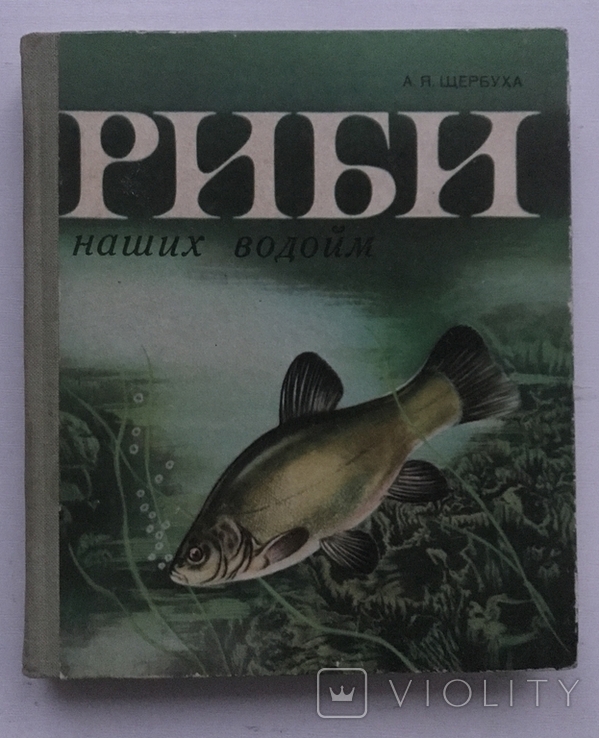 Fish of our reservoirs. A.Y. Shcherbukha. Kyiv, 1981 "Soviet school"., photo number 2