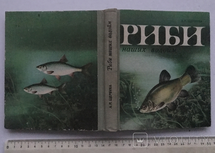 Fish of our reservoirs. A.Y. Shcherbukha. Kyiv, 1981 "Soviet school"., photo number 3