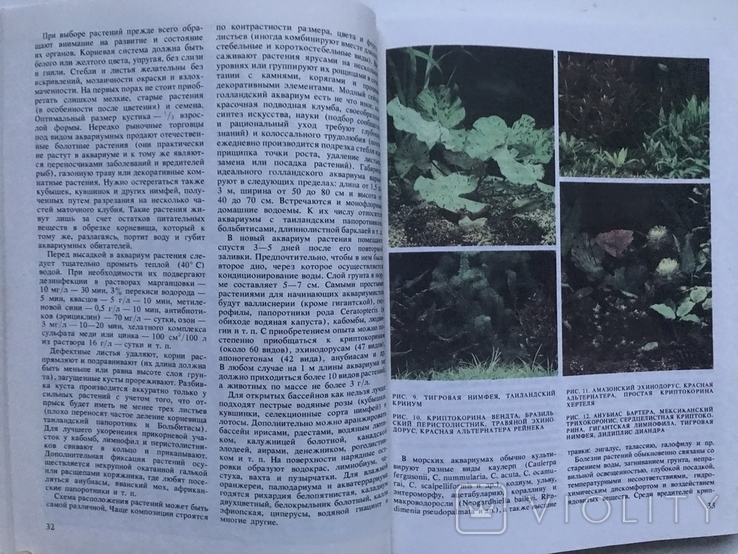 Exotic fish. A.M.Kochetov. M, 1989 "Forest industry"., photo number 6