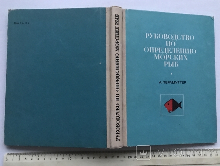 Guidelines for the identification of marine fish of the Atlantic coast of the United States. A. Perlmutter., photo number 3