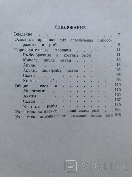 Guidelines for the identification of marine fish of the Atlantic coast of the United States. A. Perlmutter., photo number 6