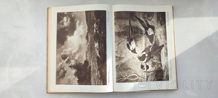 Книга искуство Финляндии 1946год 208 иллюстраций., фото №7