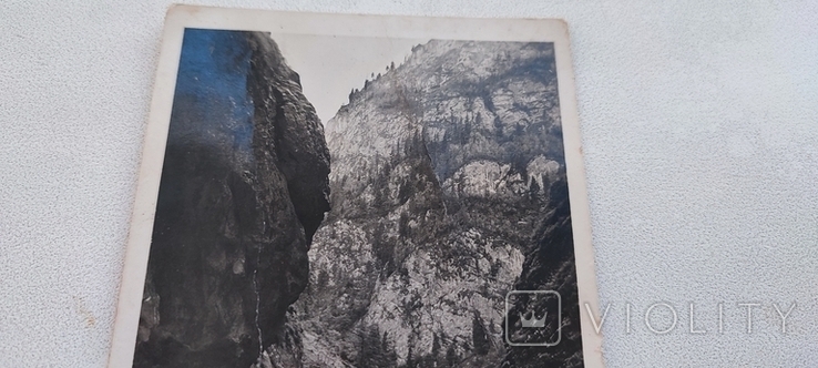 Старинная открытка , горы ., фото №6