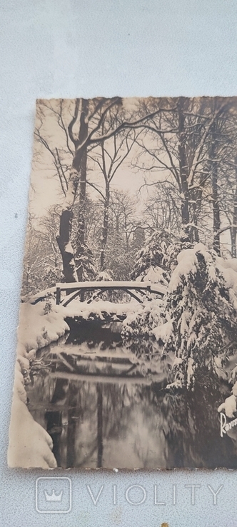 Старинная открытка " зимний парк", фото №7